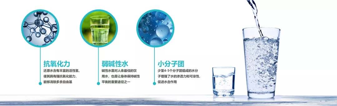 Enagic Kangenwater电解还原水®的特点